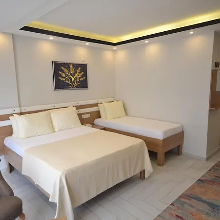 Karasu Elmasotel فندق